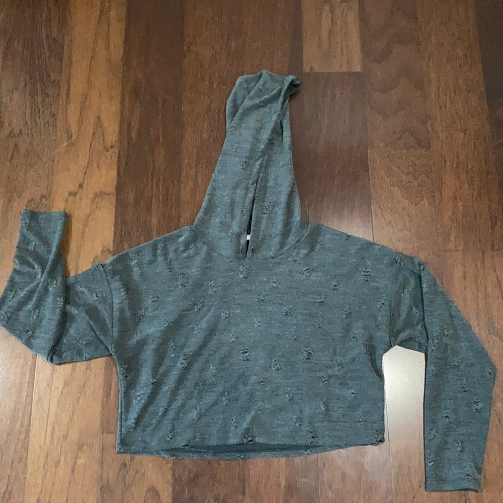 Dainty Hooligan charcoal colored crop hoodie